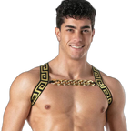Leader Invictus Harness | Black Gold