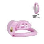 PushTech Chastity Cage With 4 Ring Sizes
