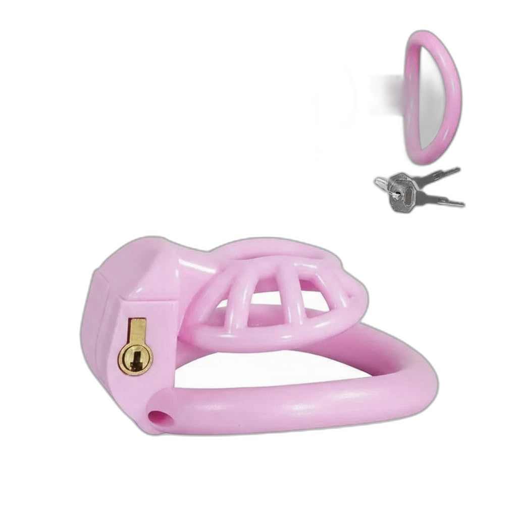 PushTech Chastity Cage With 4 Ring Sizes