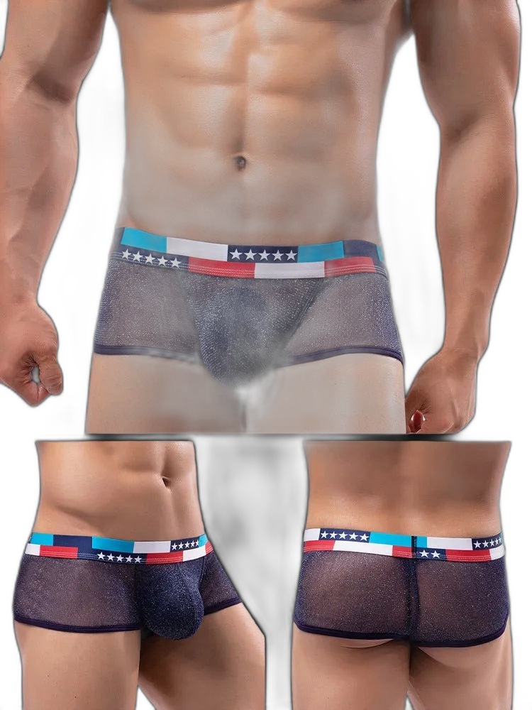4-pack Low-rise Micro-mesh Boxer Briefs