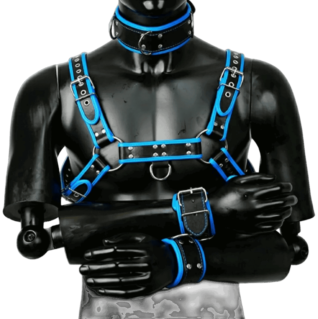 Harness, Cuff, Collar Bundle Blue