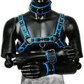 Harness, Cuff, Collar Bundle Blue