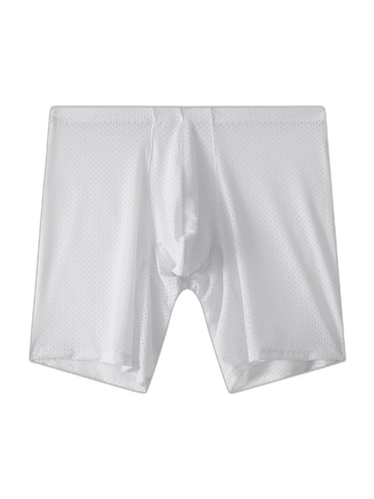 2 Pack Men's Mesh Transparent Sports Fitness Loose Boxer Briefs
