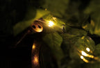 Cascading Solar Lights Watering Can