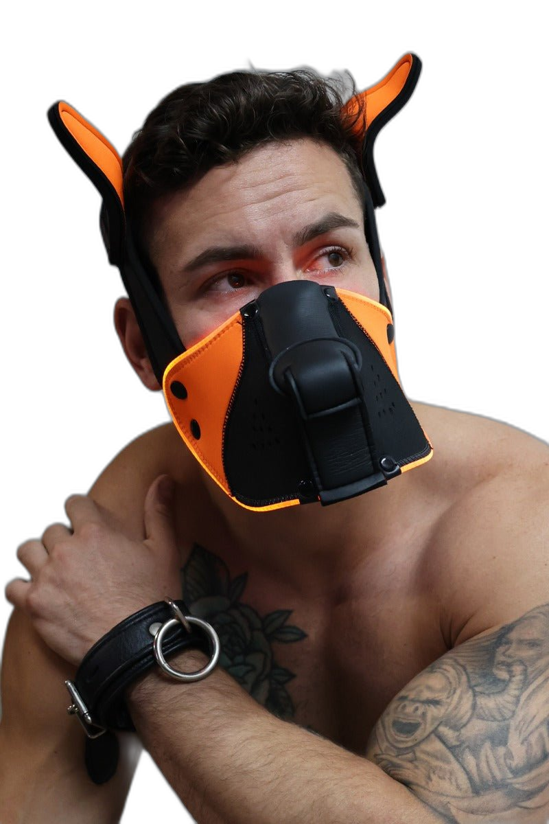 Breedwell Poundtown Pup Mask 2.0 Neon Orange