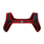 Shoulder Harness