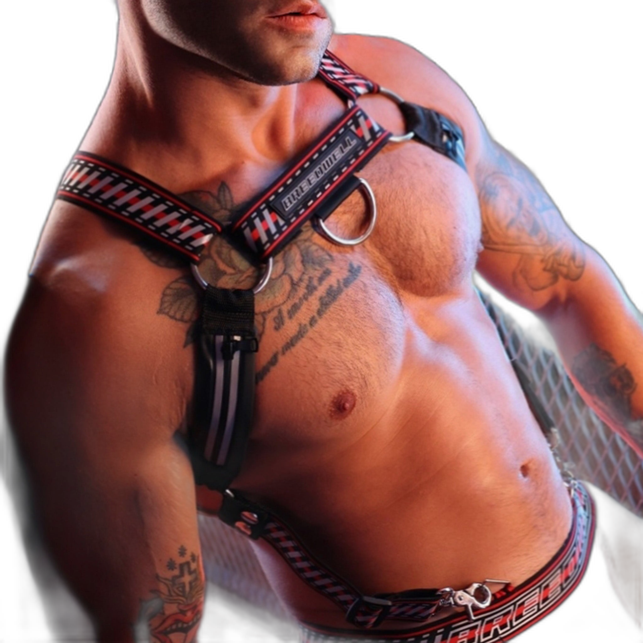 Breedwell Gymnetixxx Body Harness Red