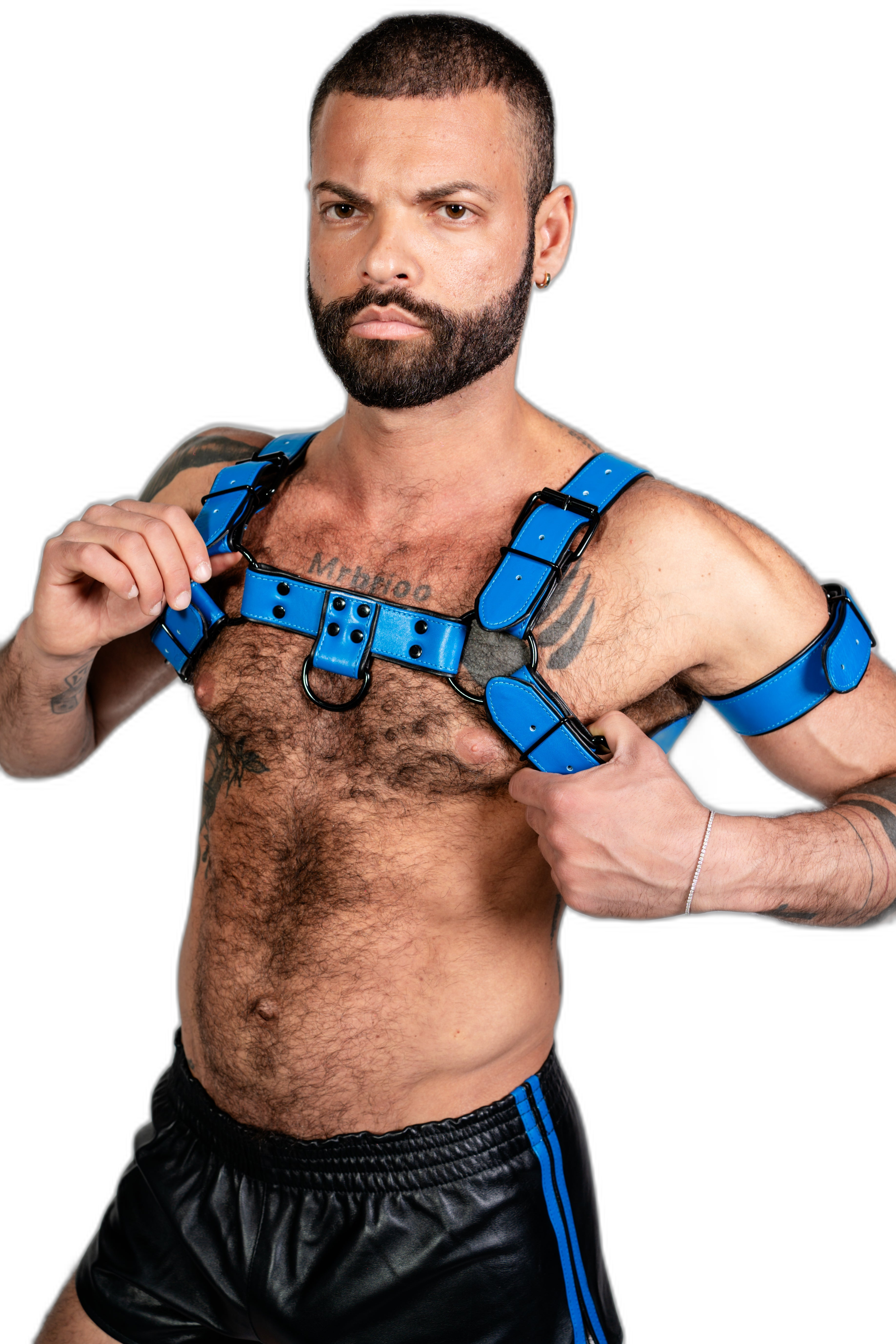 ruff GEAR Bold Leather Bulldog Harness Blue