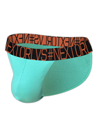 Men's Low Rise Sexy Pouch Briefs