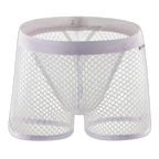 AllureFit Sexy Mesh Boxers Briefs