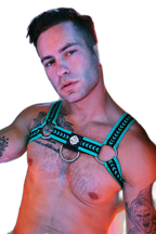 Breedwell Daddys Favourite Bulldog Harness Green