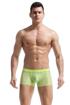 Transparent Mesh Boxers