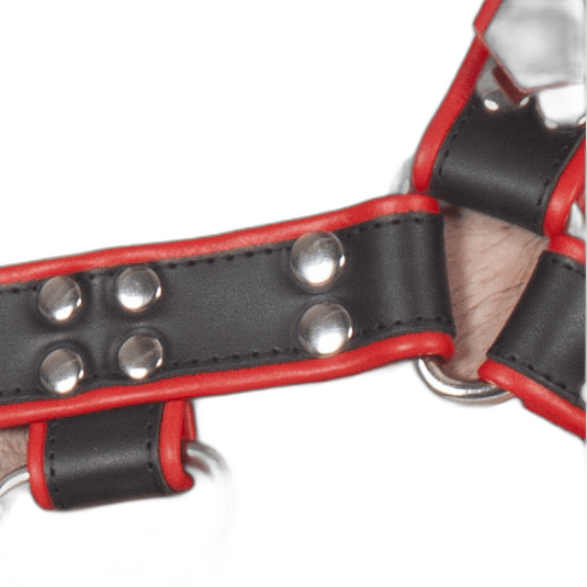 Titus H-Front Leather Chest Harness | Black & Red