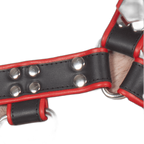 Titus H-Front Leather Chest Harness | Black & Red