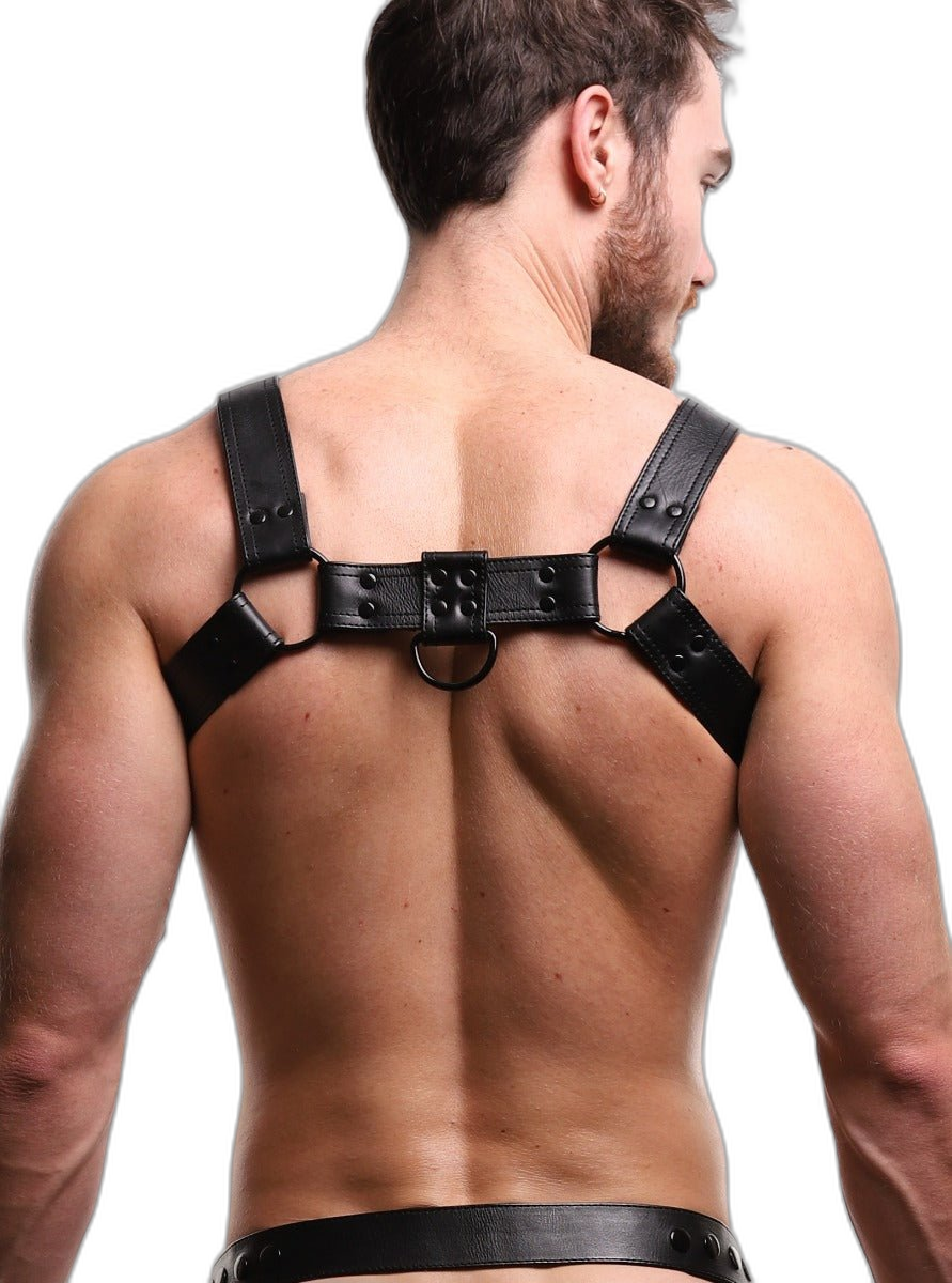 ruff GEAR RAW Leather Bulldog Harness Black