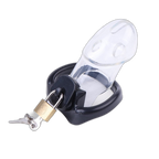 LOCK4D Rikers Chastity Cock Cage Transparent