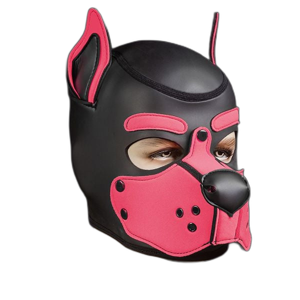 Mr S Leather Neoprene K9 Puppy Hood | Black/Pink