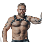 Prowler RED Leather Bull Harness With Metal Fittings Black