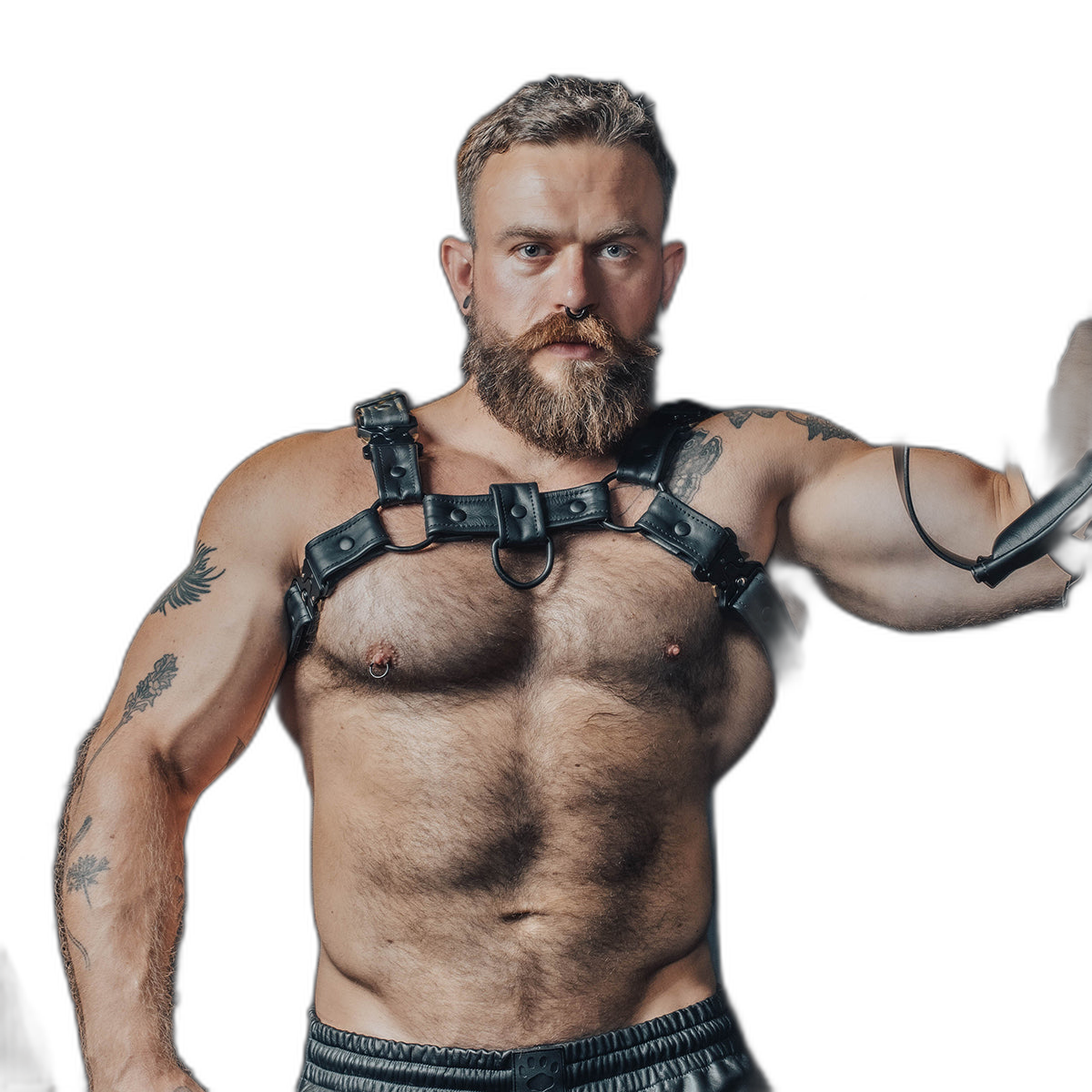 Prowler RED Leather Bull Harness With Metal Fittings Black