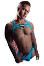 Breedwell Cumdump Bulldog Harness Aqua Blue