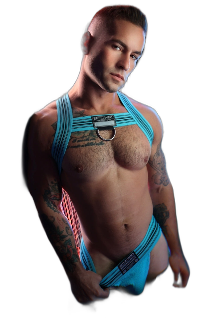 Breedwell Cumdump Bulldog Harness Aqua Blue