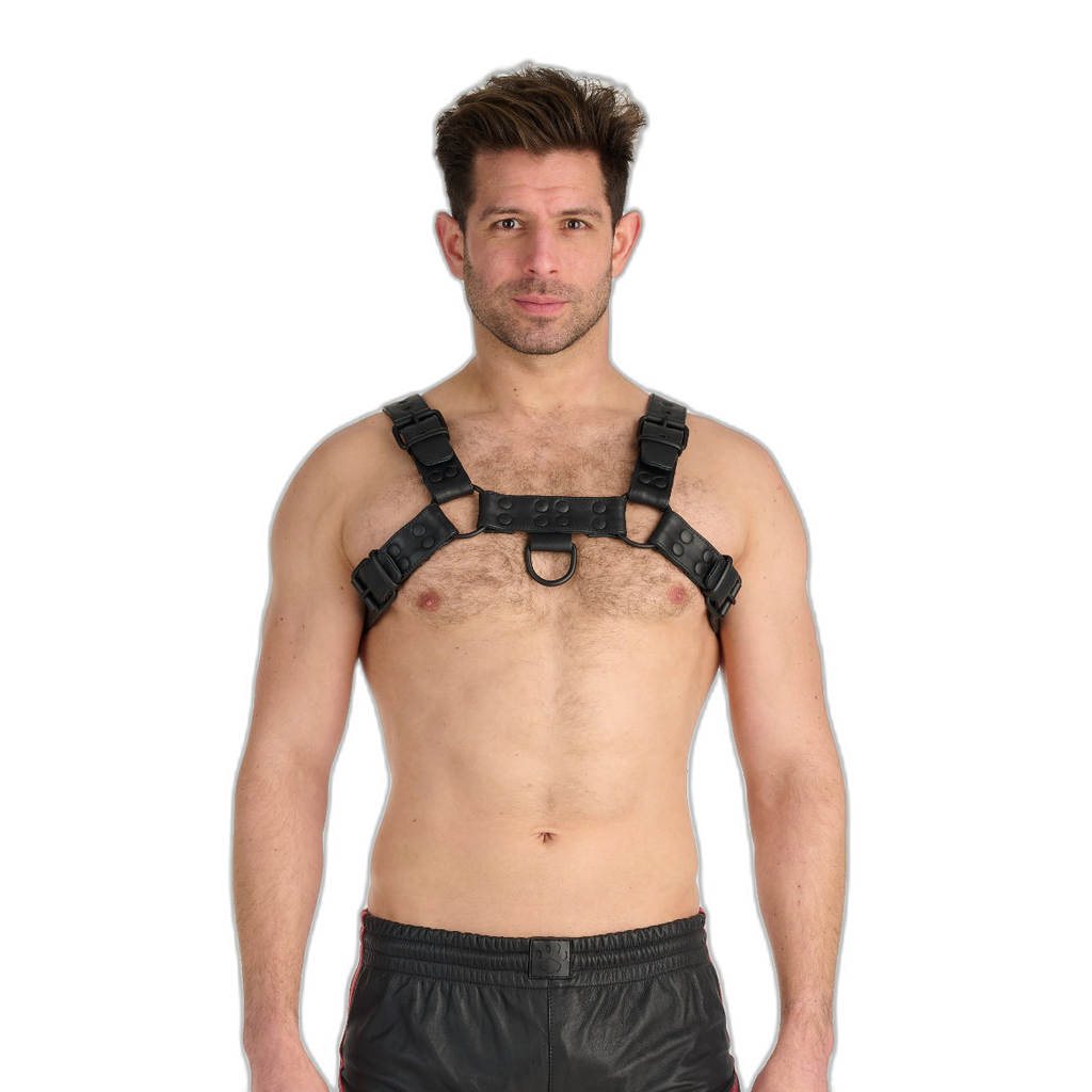 Prowler RED Leather Premium Noir Harness Black