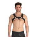 Prowler RED Leather Premium Noir Harness Black