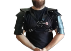 Winged Gladiator Harness