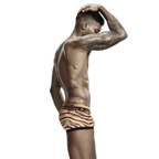 Seobean Tiger Boxers