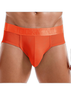 Men's Solid Color Mesh Breathable Sports Fitness Briefs