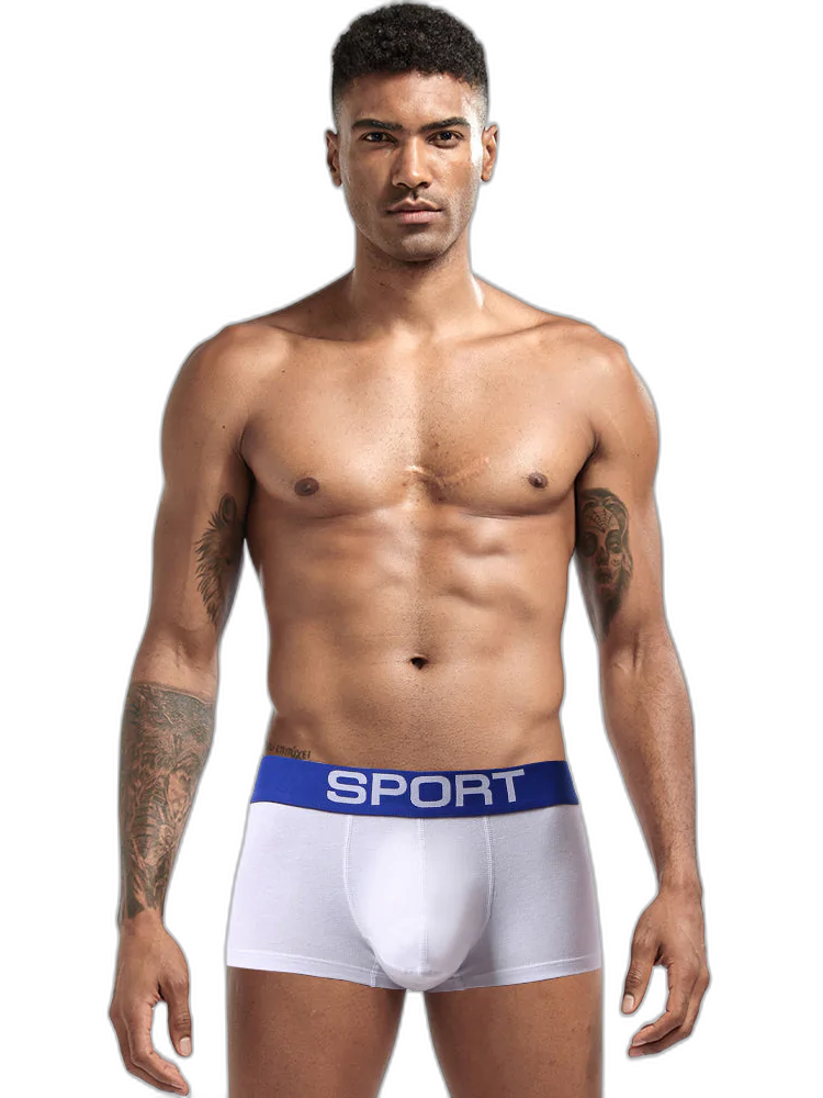 3 Pack Mens Sculpt Bulge Shape Support Pouch Underwear