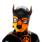 Standard Neoprene Pup Hood
