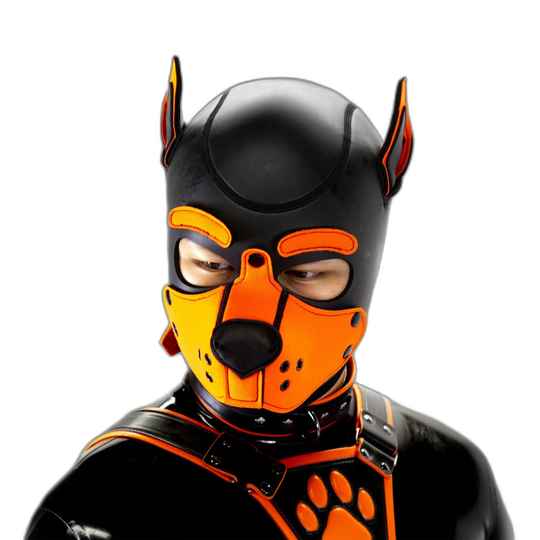 Standard Neoprene Pup Hood