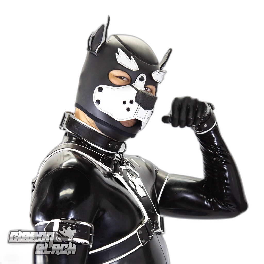 Standard Neoprene Pup Hood