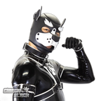 Standard Neoprene Pup Hood