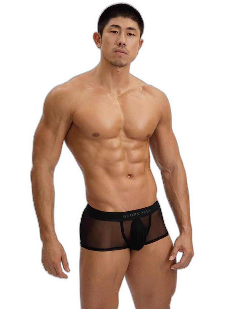 2-Pack Men's Breathable Mesh Ice Silk U-convex Low Waist Boxer Briefs