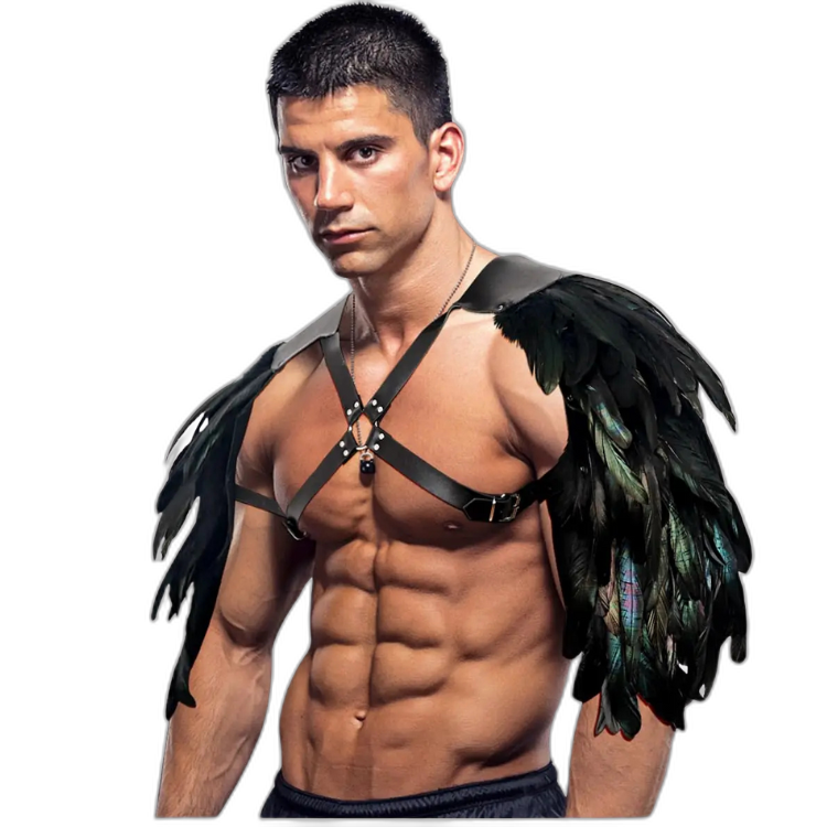 Feather Renaissance Dark Harness Costume