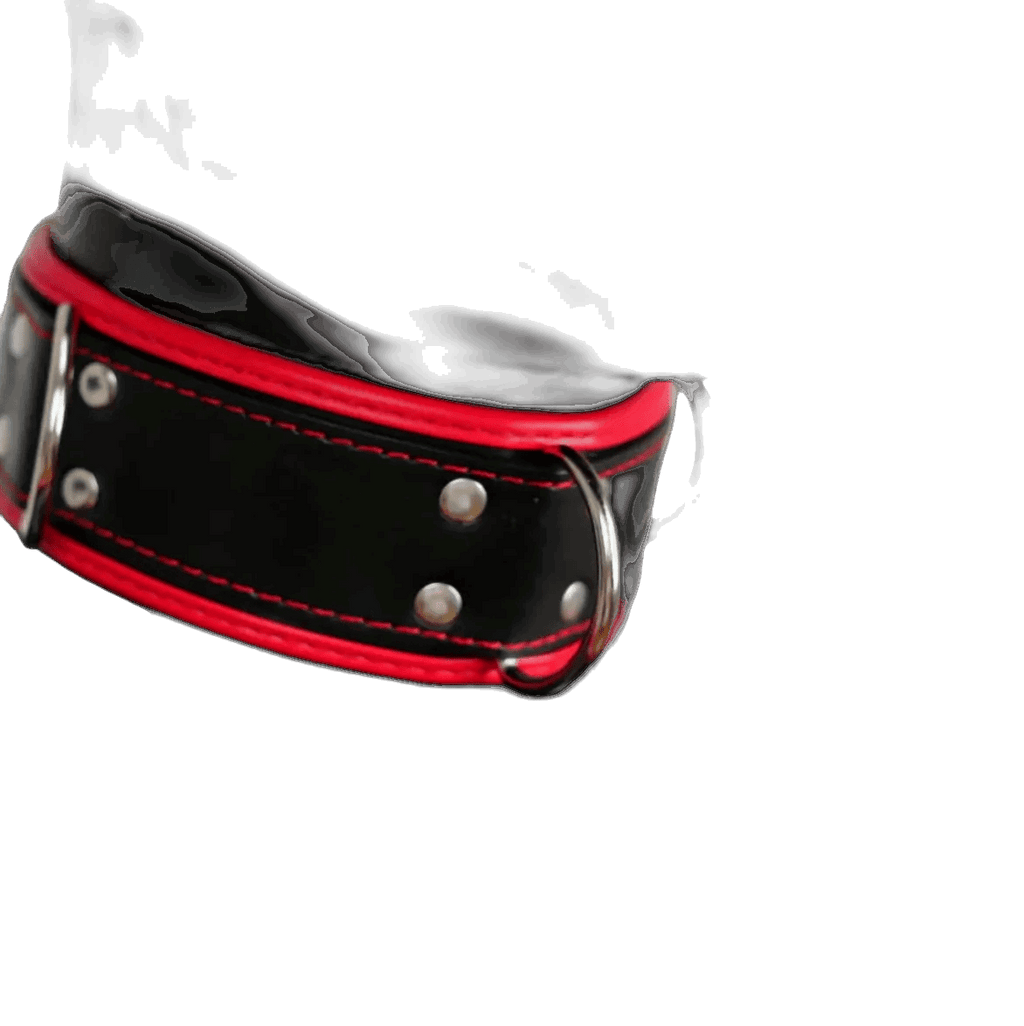 Harness, Cuff, Collar Bundle Red