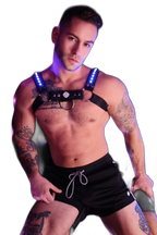 Breedwell Prismaglow Bulldog Harness