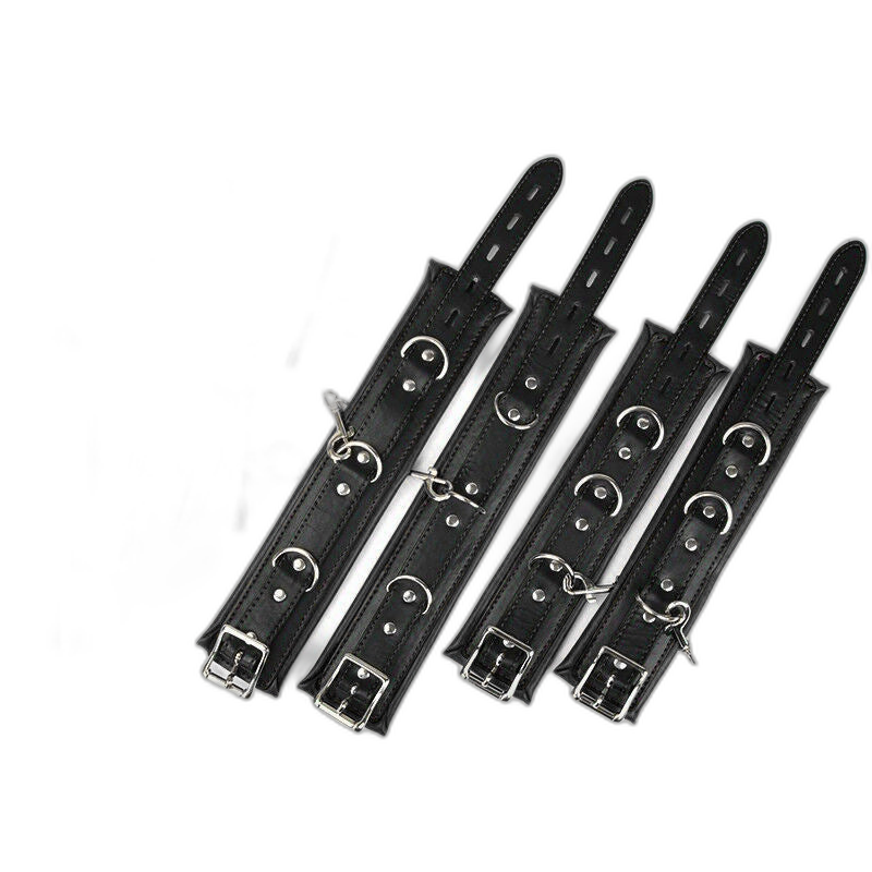 Full Access Bar Restraint System