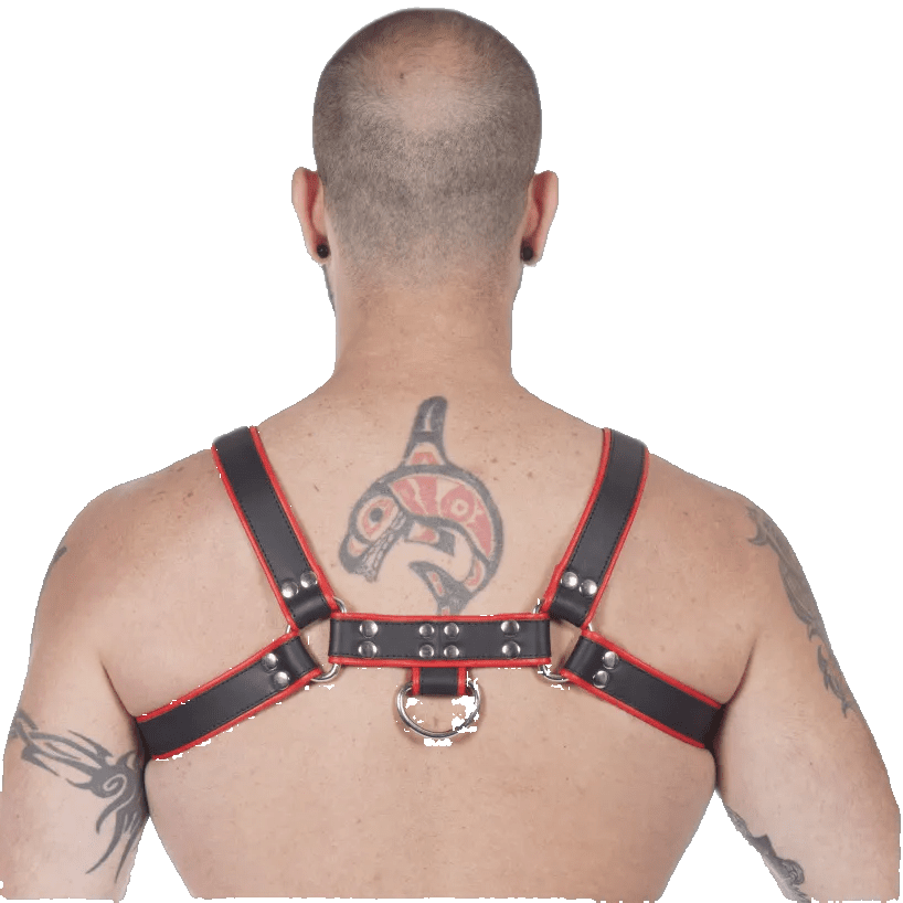 Titus H-Front Leather Chest Harness | Black & Red