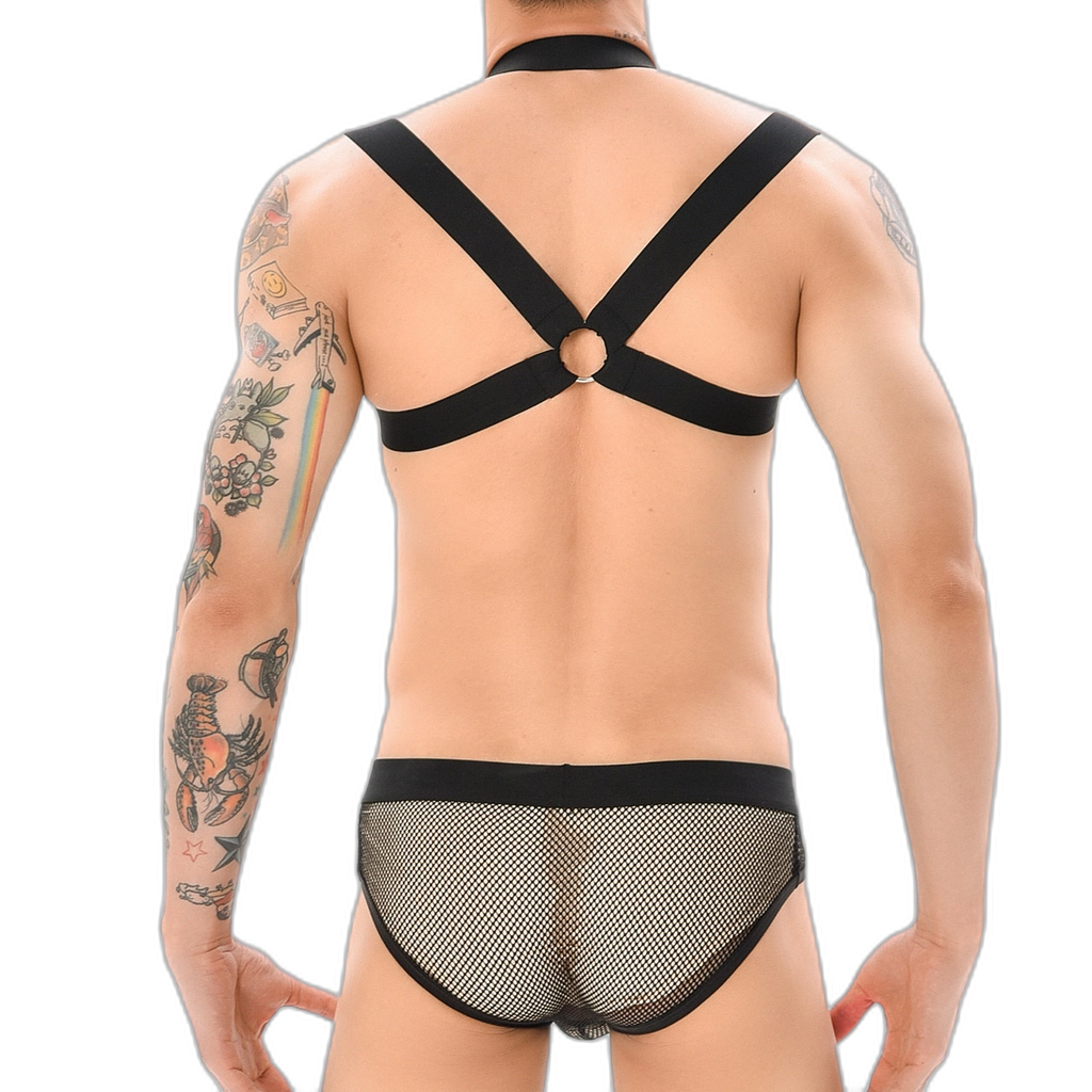 Erotic Mesh Harness + Underwear Outfit