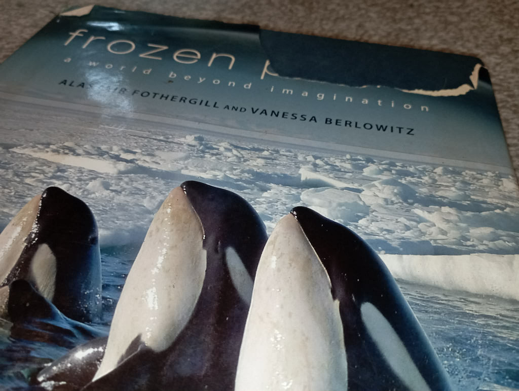 BOOK : FROZEN PLANET (ripped cover)