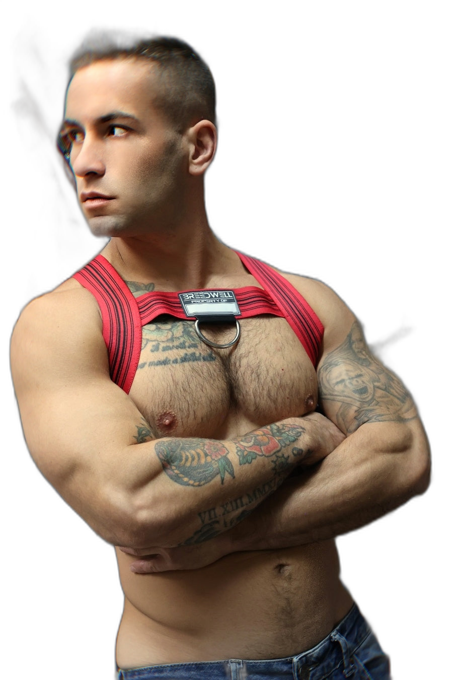 Breedwell Cumdump Bulldog Harness Red