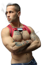 Breedwell Cumdump Bulldog Harness Red