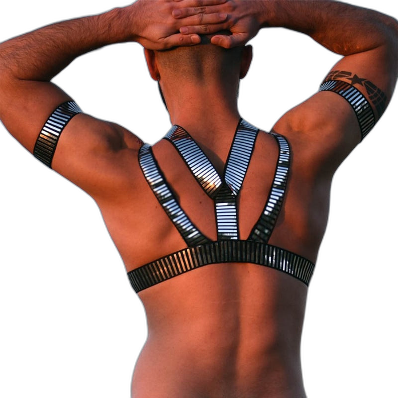 Silver Slave Daddy Harness