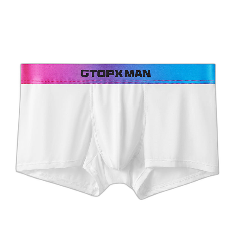 GX Spectrum Boxer Briefs