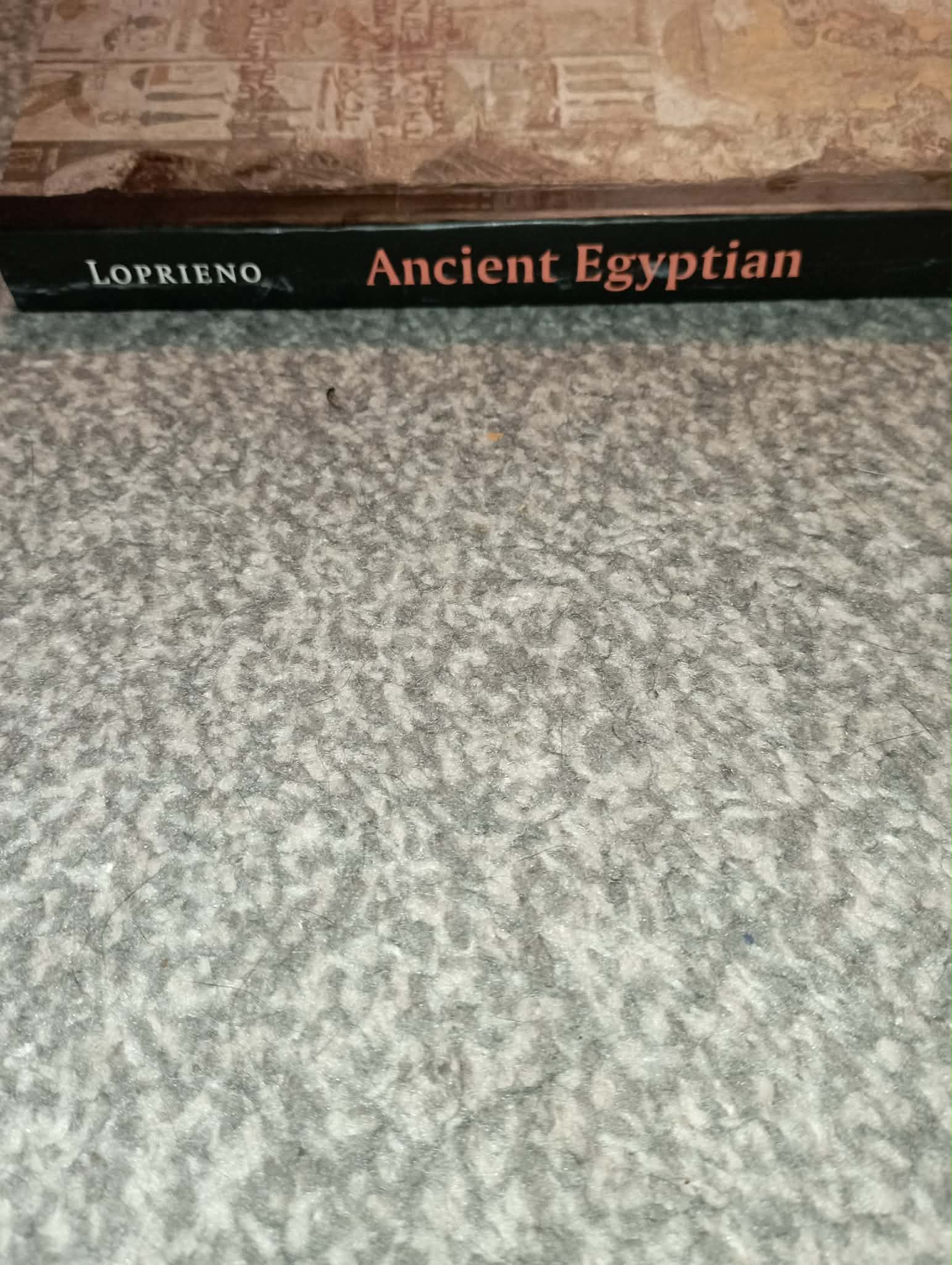BOOK : ANCIENT EGYPTIAN by ANTONIO LOPRIENO