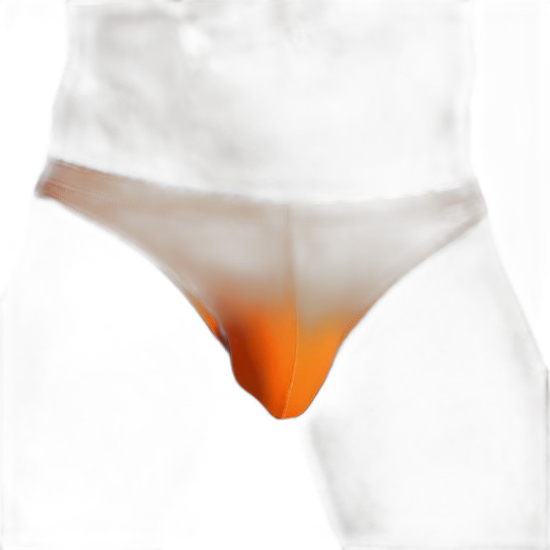 Essentials Ice Silk Briefs