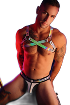 Breedwell Illuminator Bulldog Harness Holo